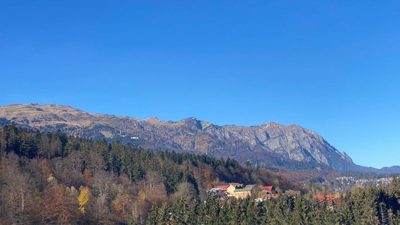 Perfect View Apartment Sinaia Eksteriør bilde